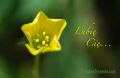 Lubię Cię