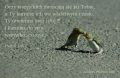 Psalm 145 : Troska