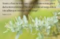 Psalm 51 : Odnów mnie