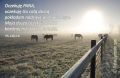Psalm 130: Oczekiwanie