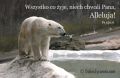 Psalm 150: Wszystko co żyje, niech chwali Pana!
