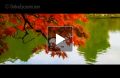 George Winston Thanksgiving (Piano Solo)