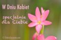 W Dniu Kobiet specjalnie  dla Ciebie