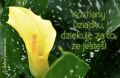 Kochany Dziadku - dziękuję, że jesteś