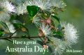 26 Styczeń: Have a Great Australia Day!