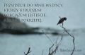 Pokrzepienie