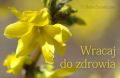 Wracaj do zdrowia