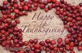 Happy Thanksgiving!